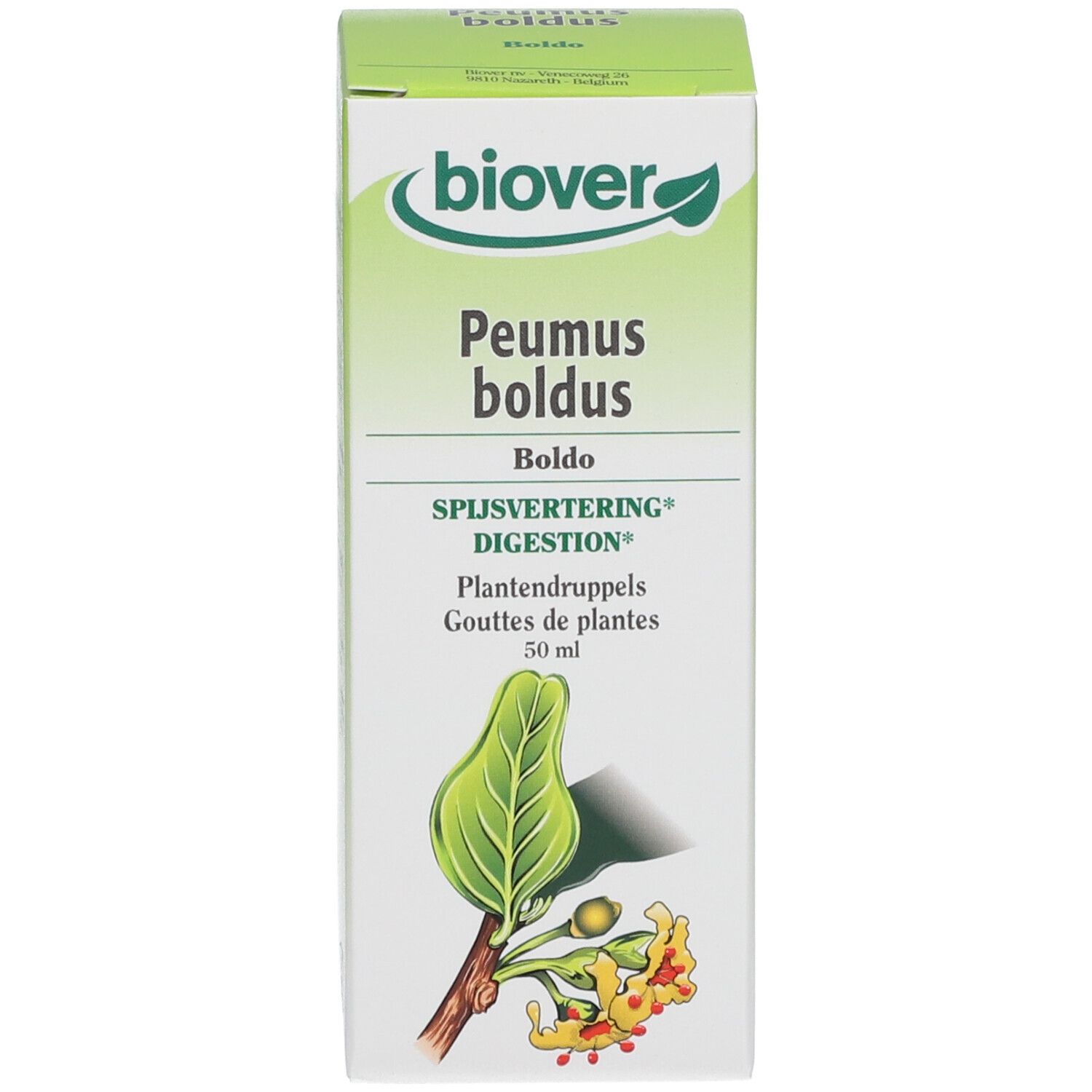 Biover Boldo (Peumus Boldus) Teinture mère bio