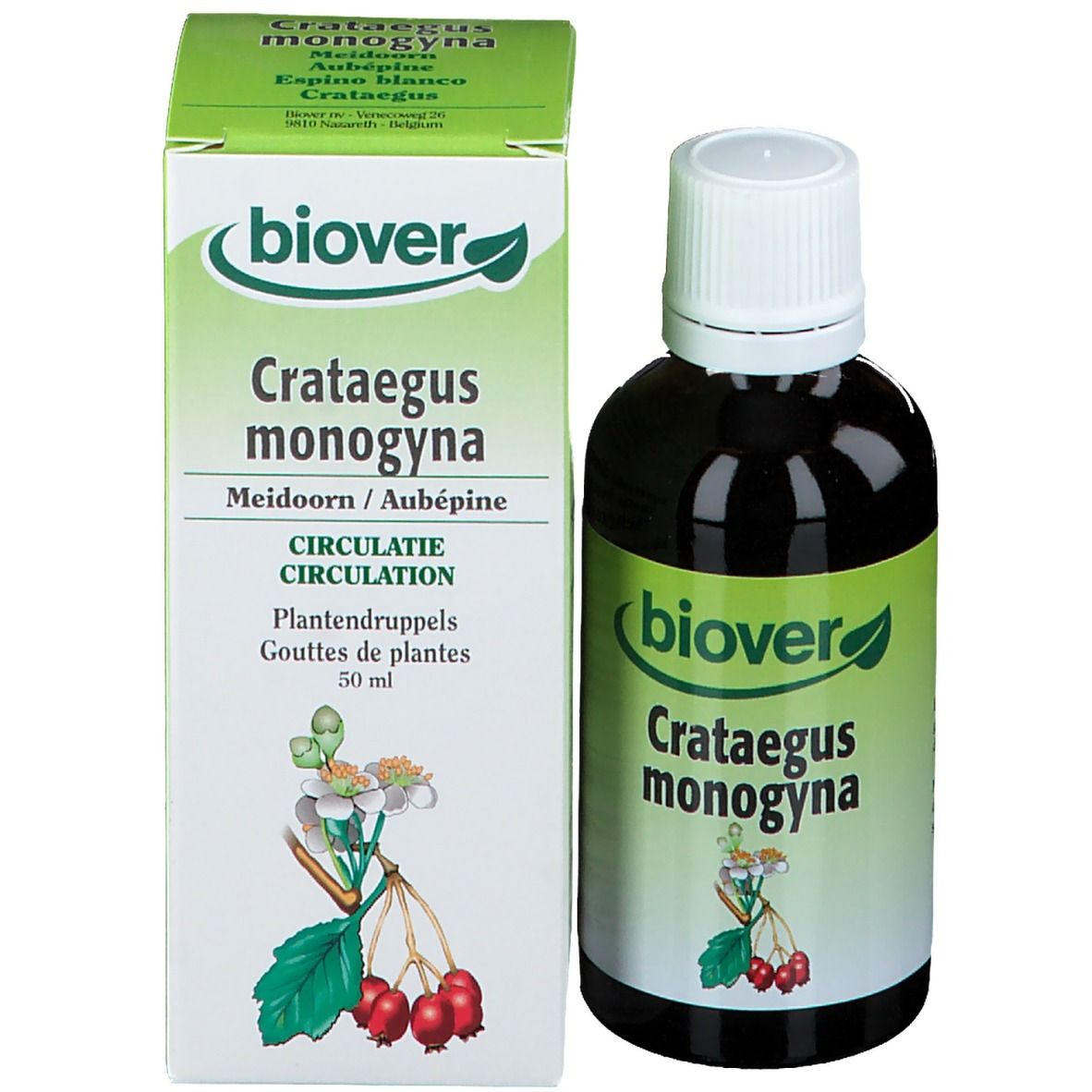 Bouteille et boîte. Inscription : Biover Crataegus monogyna. Avec illustration. 50 ml.