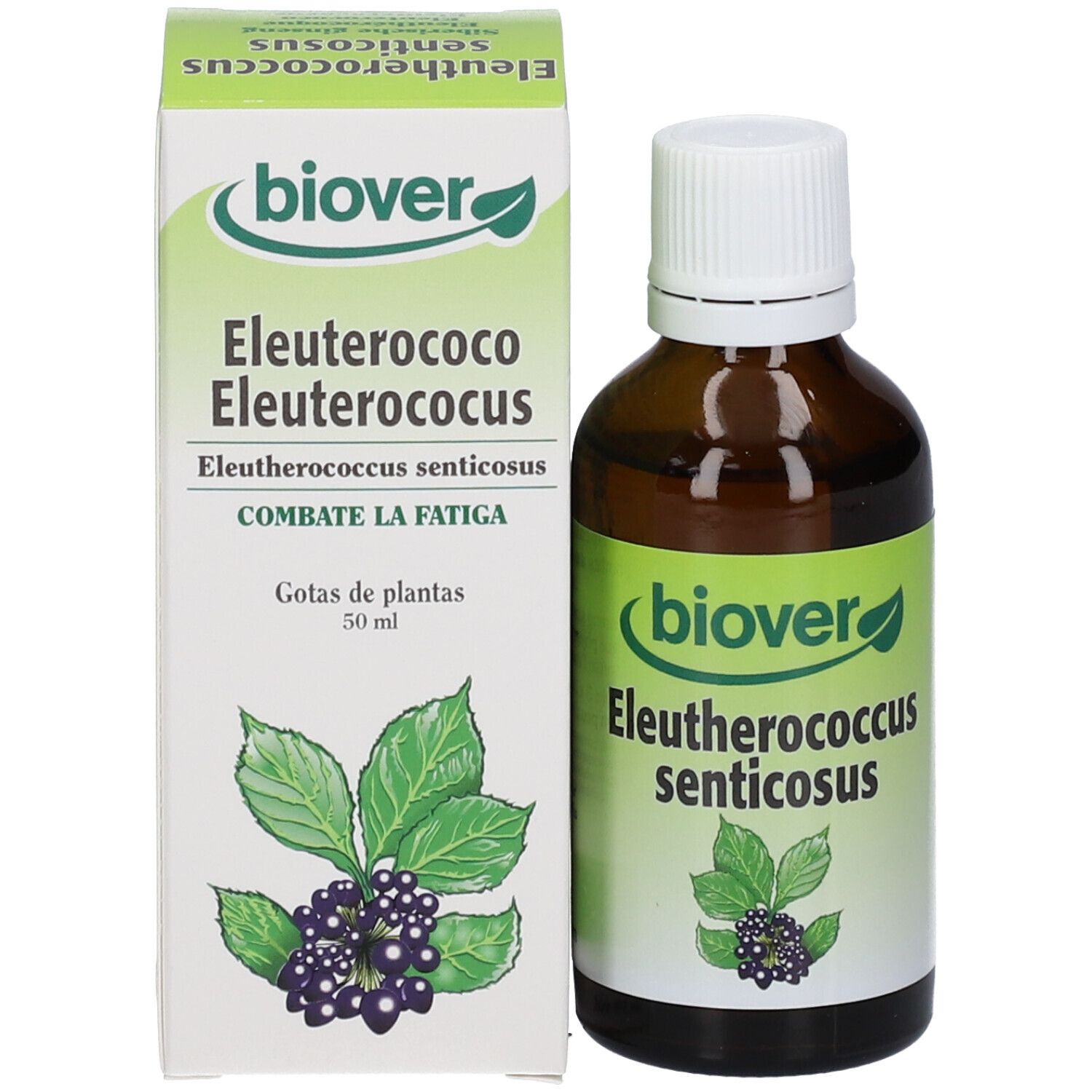 Biover Ginseng sibérien (Eleutherococus senticocus) Teinture mère Bio