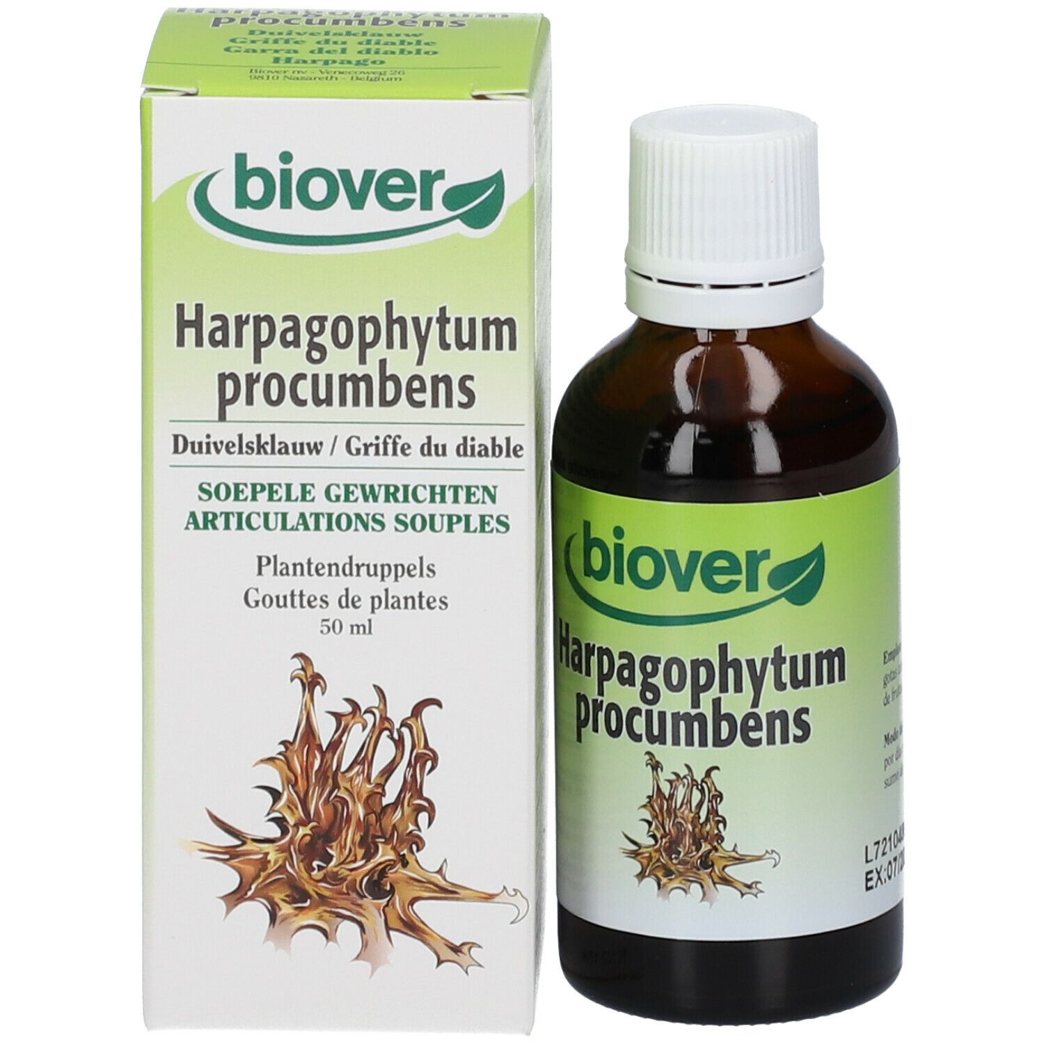 Biover Harpagophytum (Harpagophytum Probumbens) Teinture mère