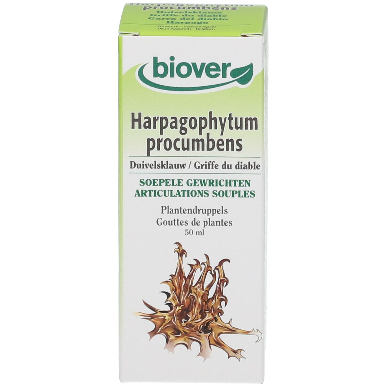 Biover Harpagophytum (Harpagophytum Probumbens) Teinture mère
