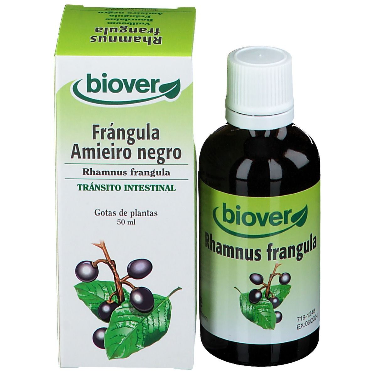 Biover Bourdaine (Rhamnus Frangula) Teinture mère Bio