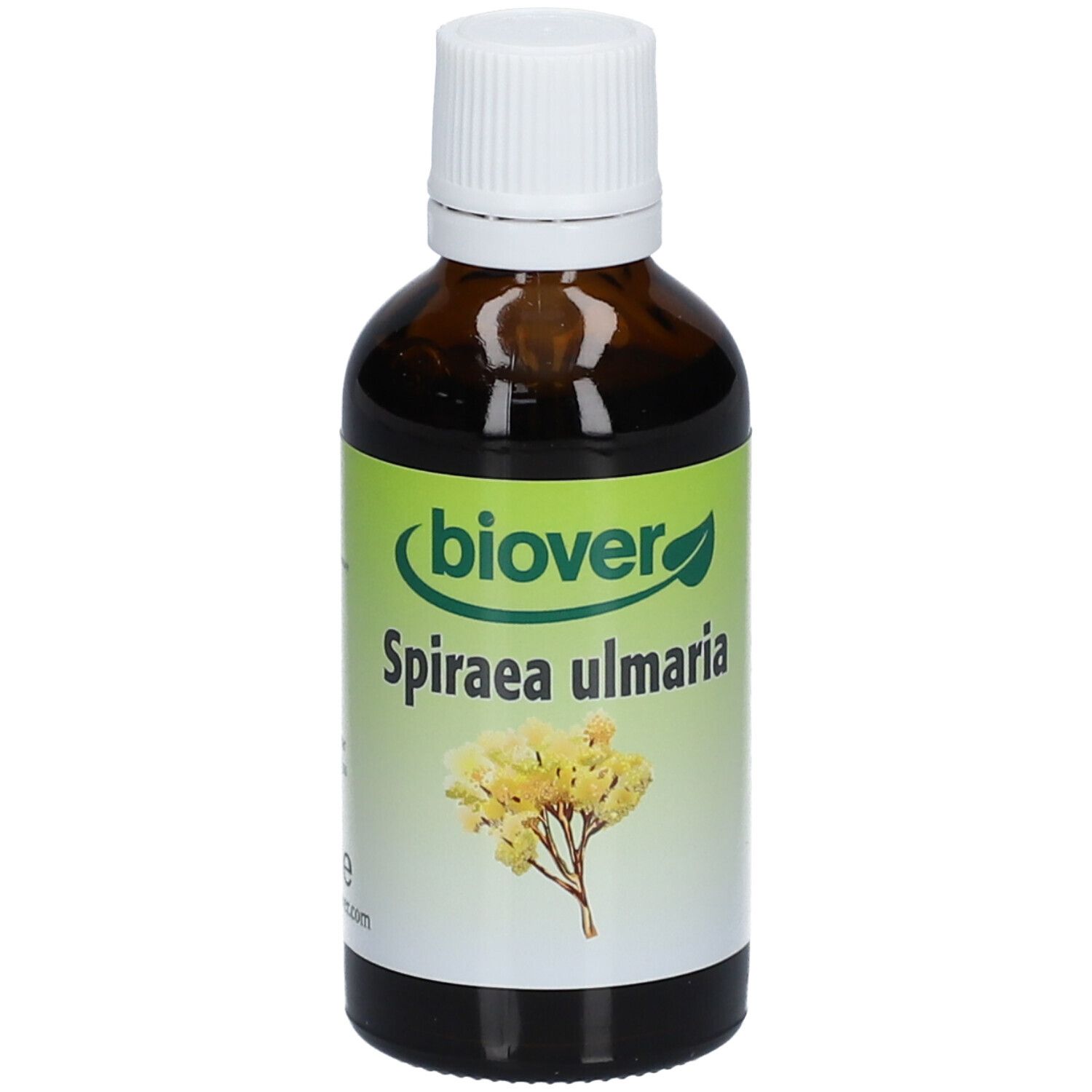 biover Spiraea ulmaria
