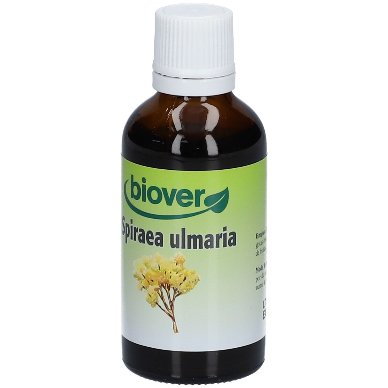 biover Spiraea ulmaria