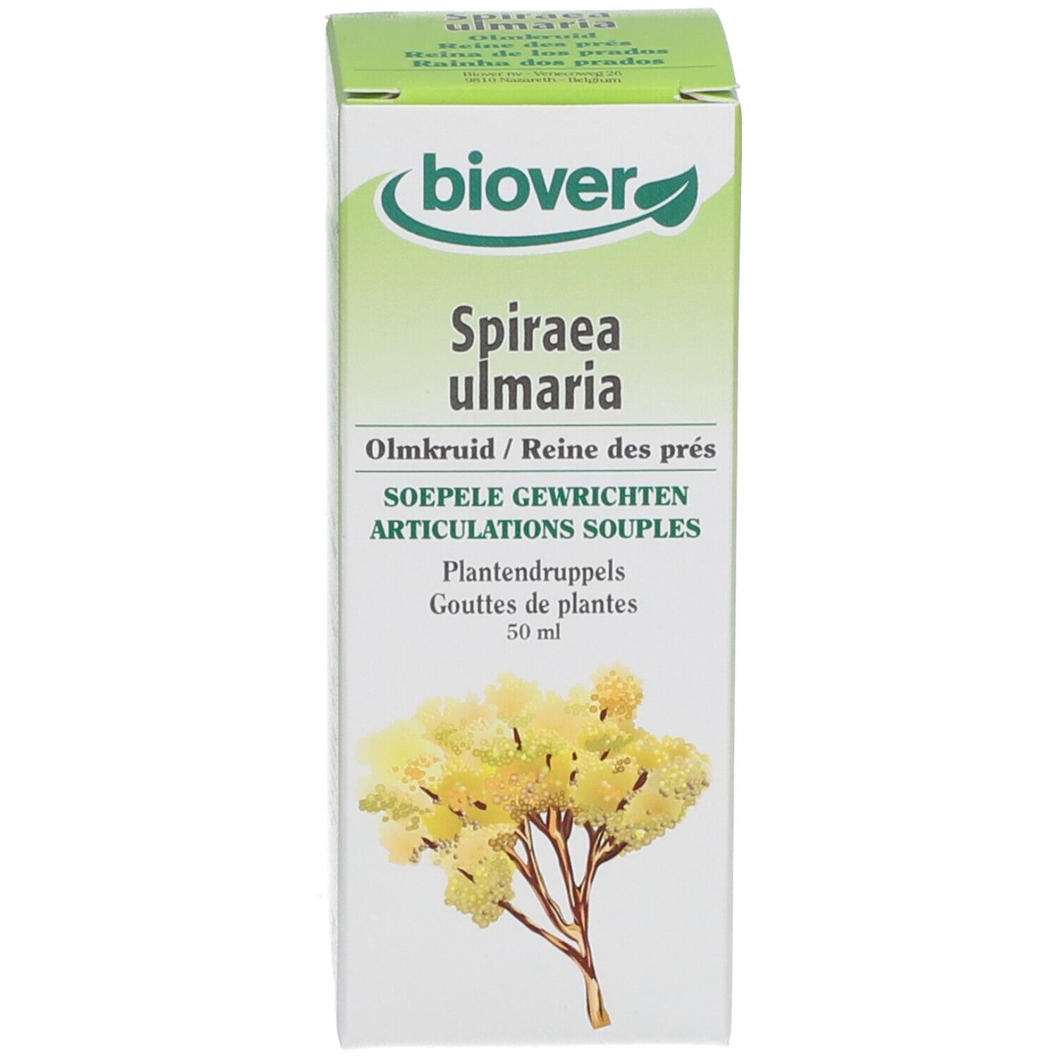 biover Spiraea ulmaria