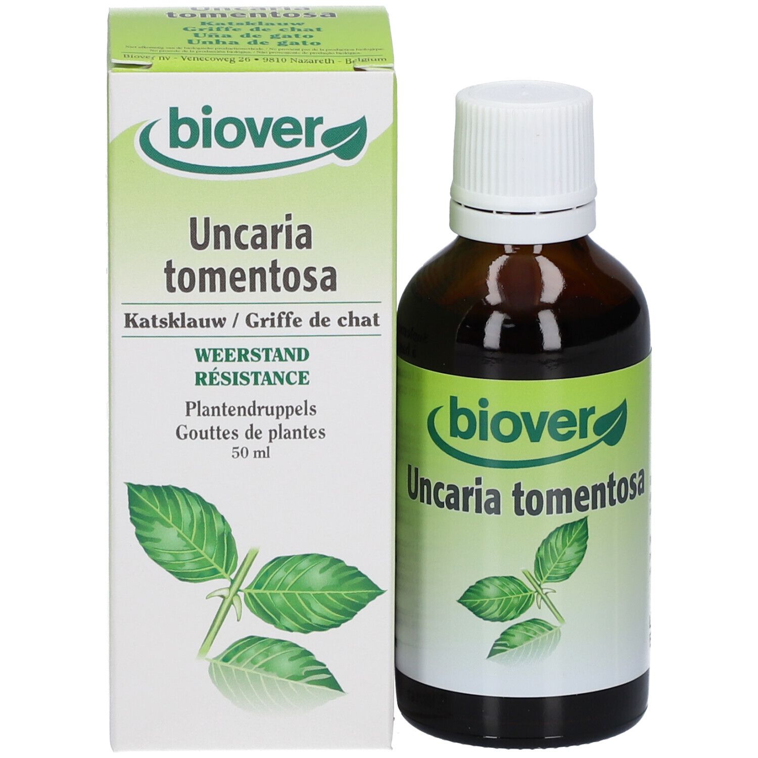 Biover Uncaria tomentosa