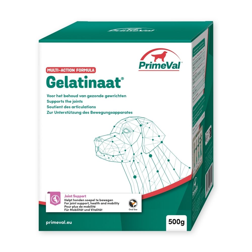 Boîte PrimeVal Gelatinaat avec graphique de chien et informations produit.