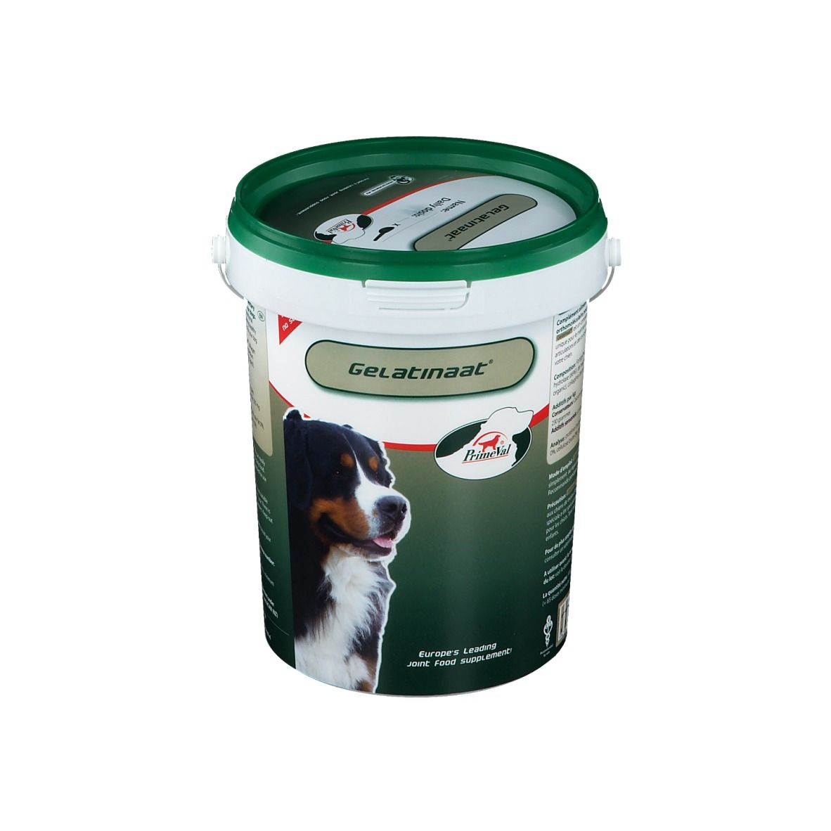 Seau vert et blanc avec couvercle vert. Inscription Gelatinaat. Image d'un chien. Texte: Europe's Leading Joint Food Supplement.