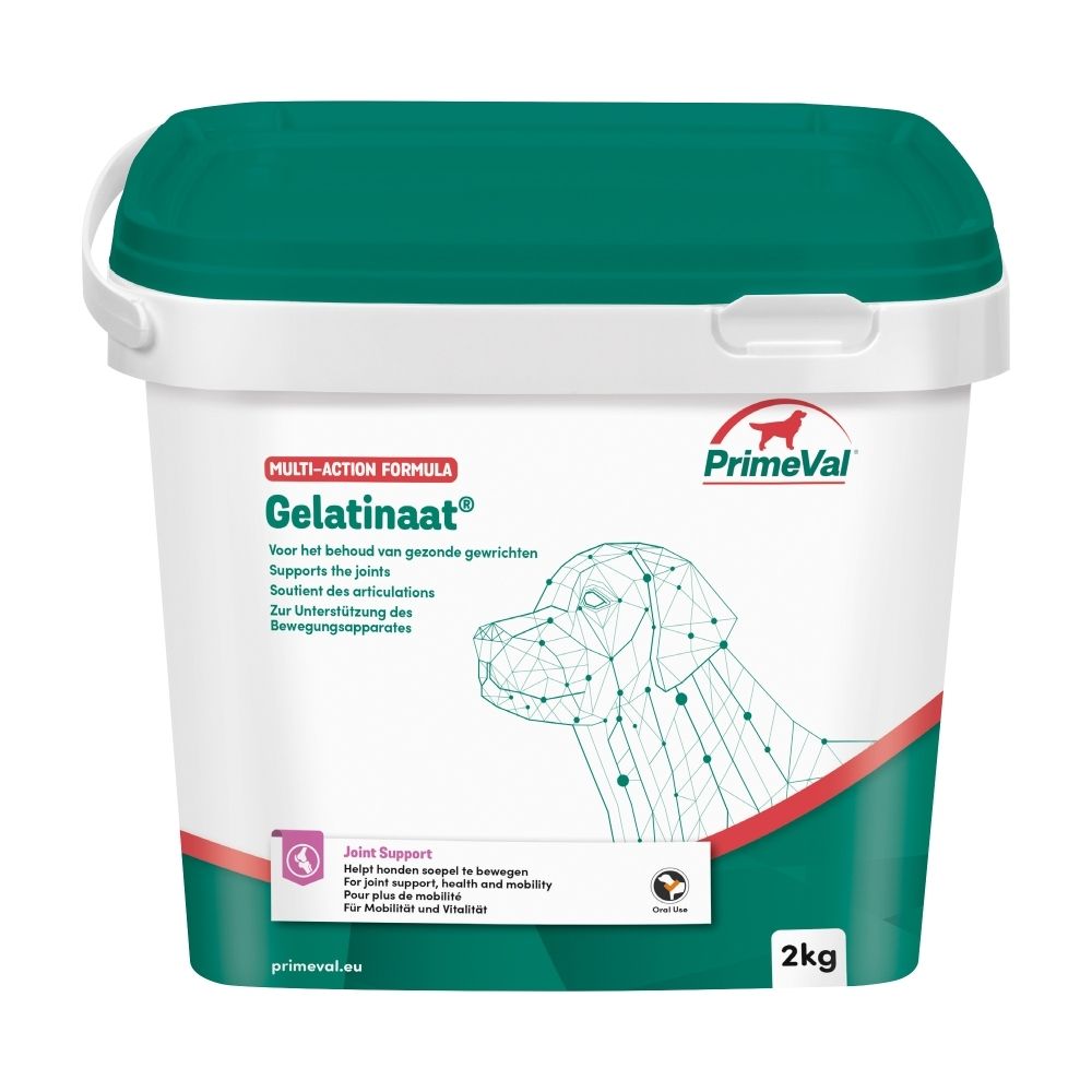 Seau PrimeVal Gelatinat avec représentation schématique d'un chien et indication de 2kg.