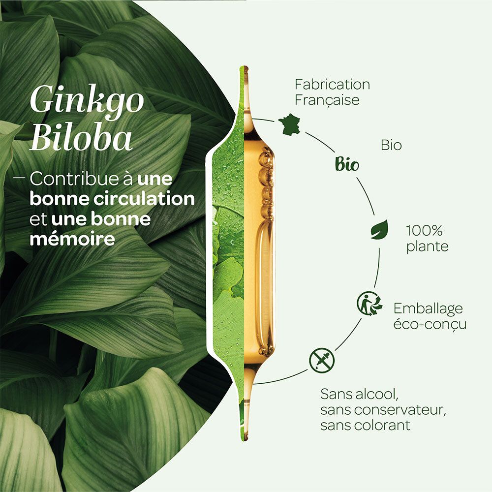 SUPER DIET Ginkgo Biloba Bio Circulation et mémoire