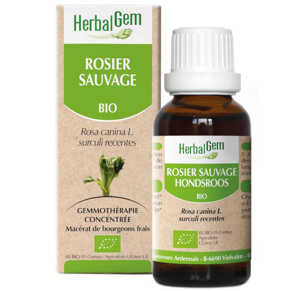 Herbalgem Rosier Sauvage Macerat