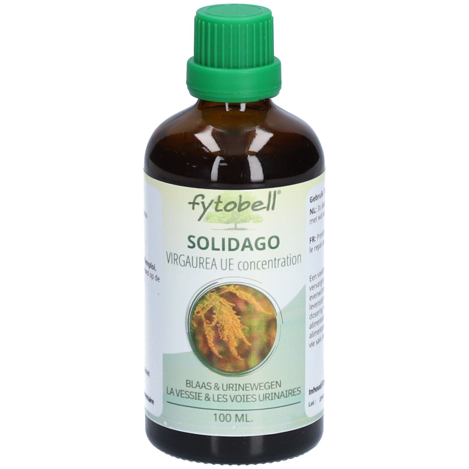 Fytobell® Solidago virgaurea UE