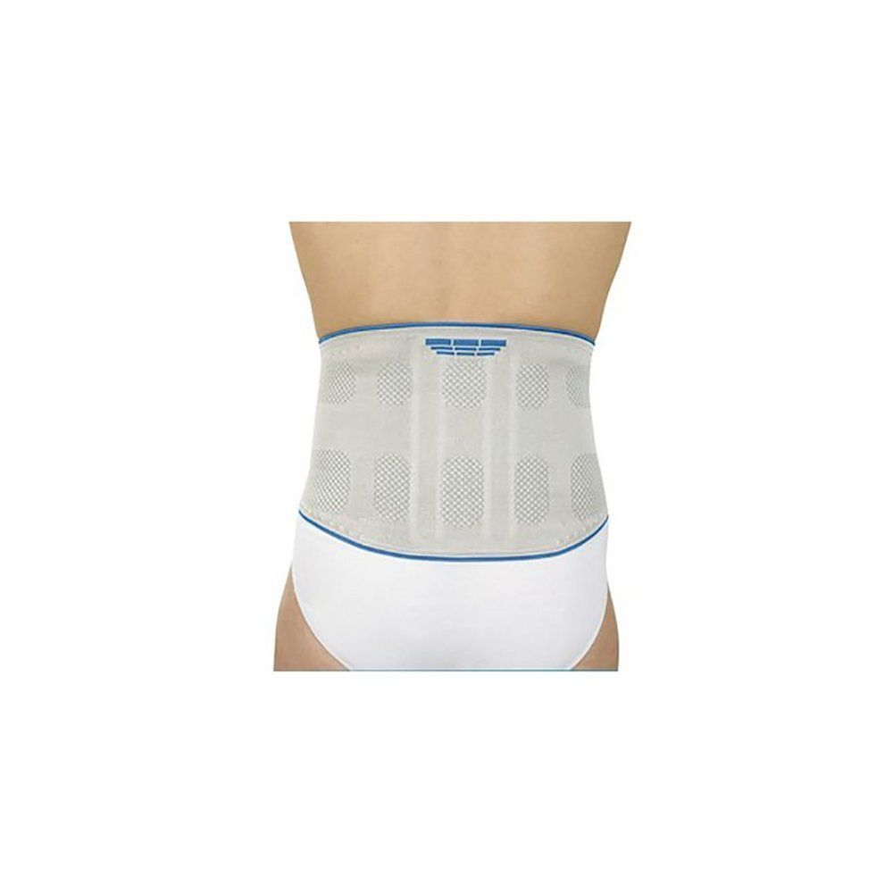 Ceinture dorsale gris clair avec accents bleus. Visible : logo, matière respirante, bordure bleue.