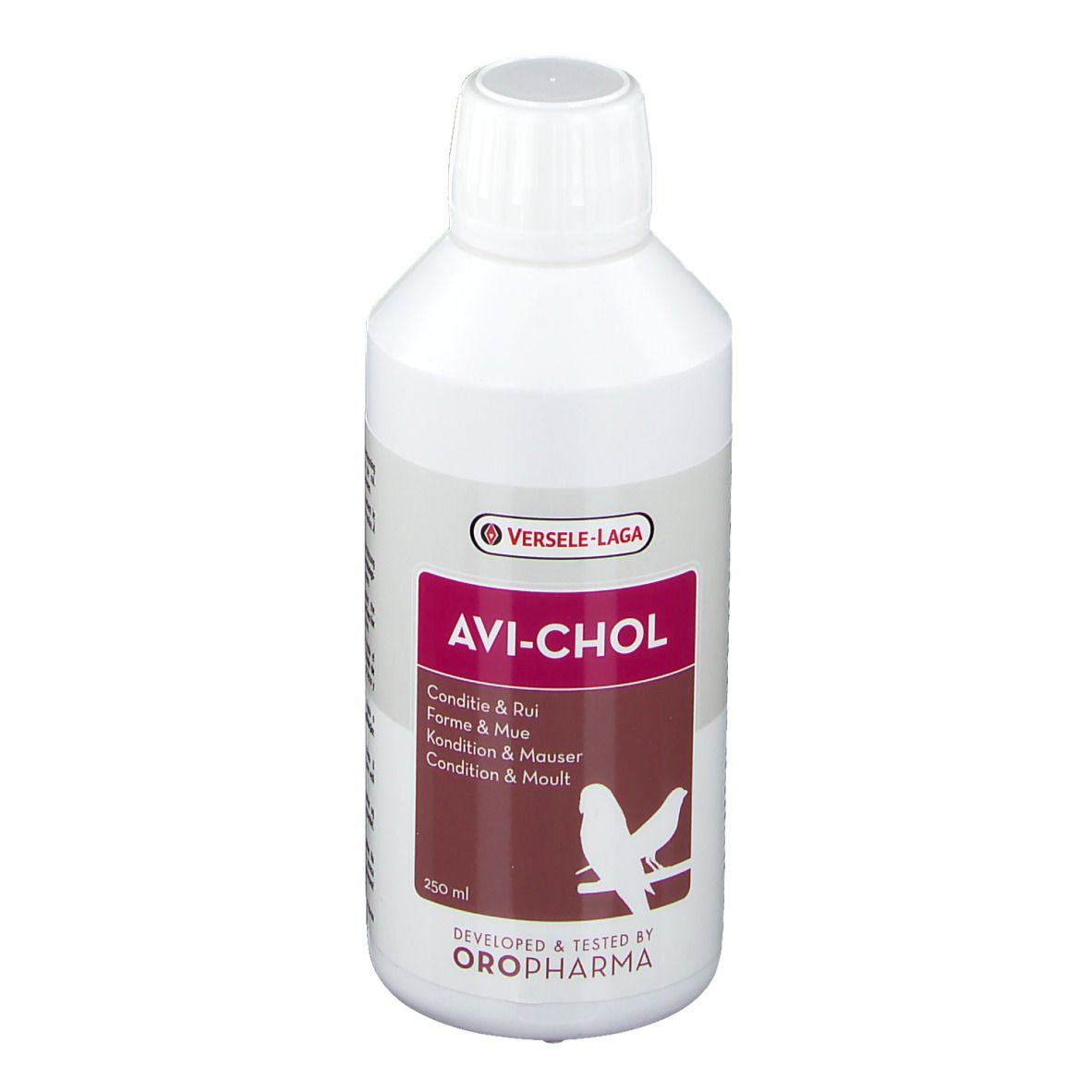 Avi-Chol