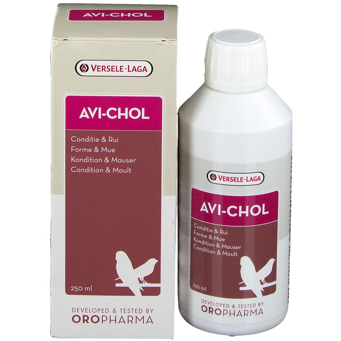 Avi-Chol