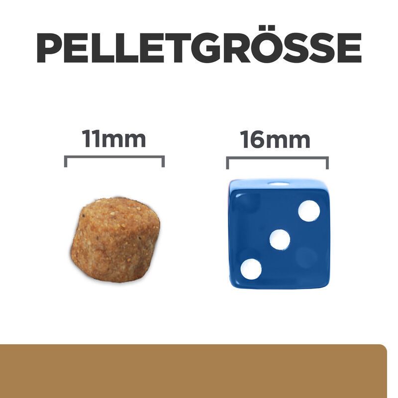Gros plan sur deux granulés de nourriture pour chiens. Gauche: granulé de 11 mm. Droite: cube de 16 mm.