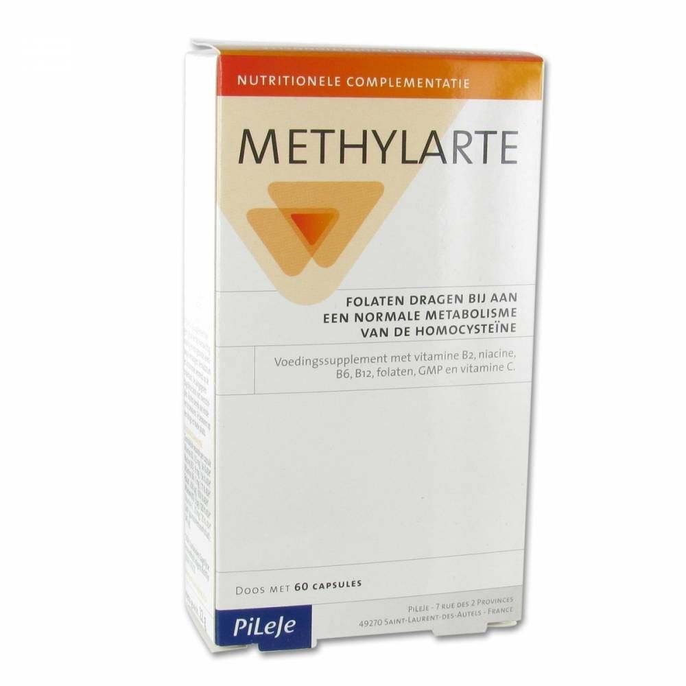 Methylarte