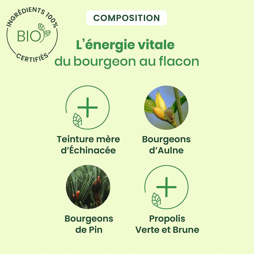 Graphique avec ingrédients. Certification bio. Ingrédients: Echinacée, bourgeons d'Aulne, bourgeons de Pin, Propolis verte et brune.
