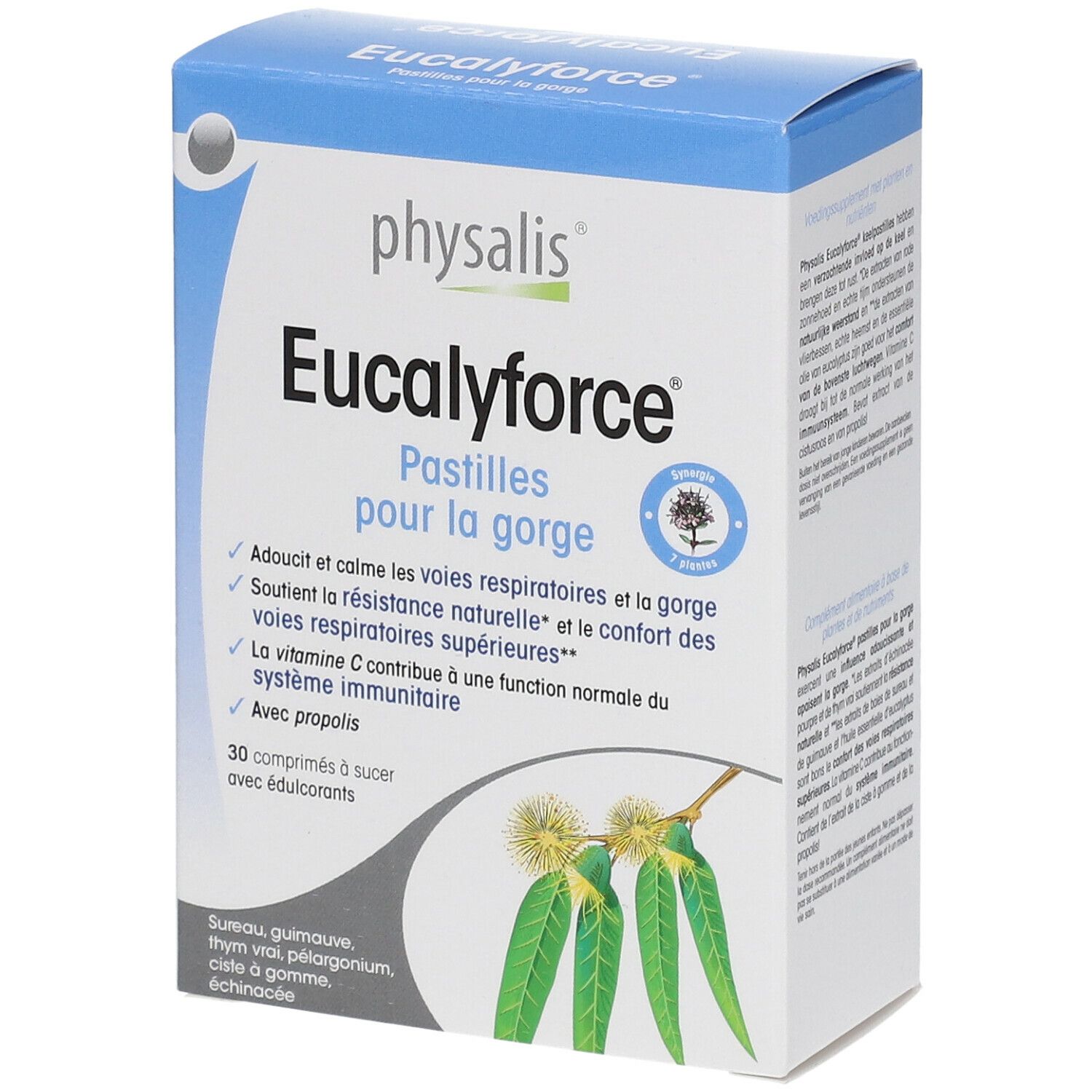 Physalis Eucalyforce
