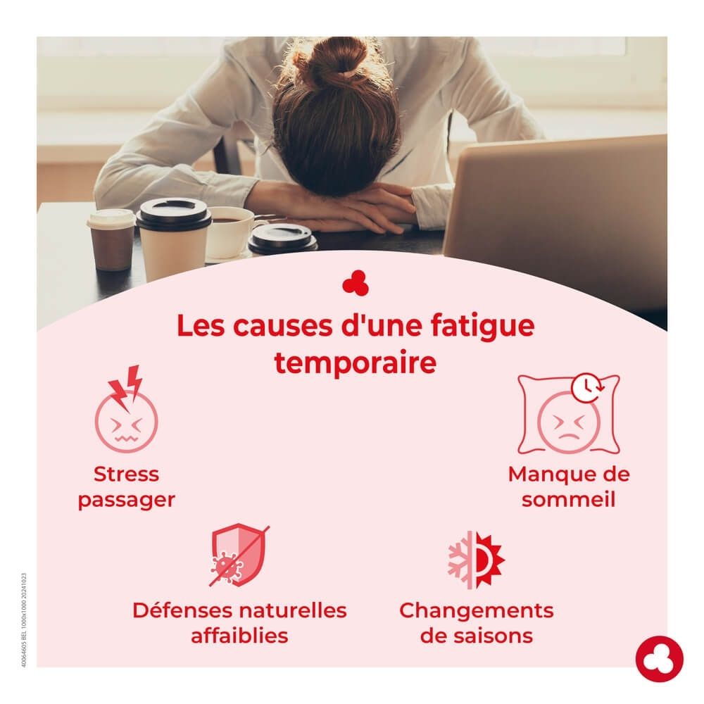 Ortis Gelée Royale: Causes de fatigue temporaire: stress, manque de sommeil, défenses, saisons.