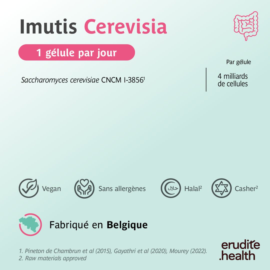 Imutis Cerevisia : Bien toléré et efficacité prouvée.