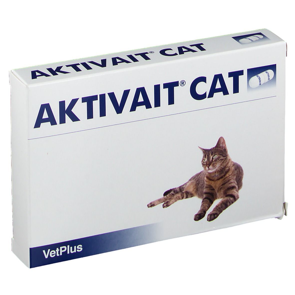 Aktivait Chat
