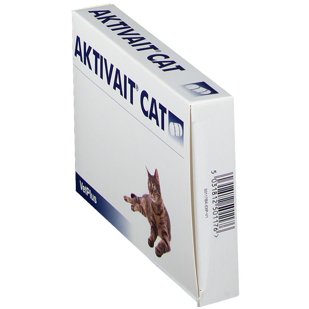 Aktivait Chat