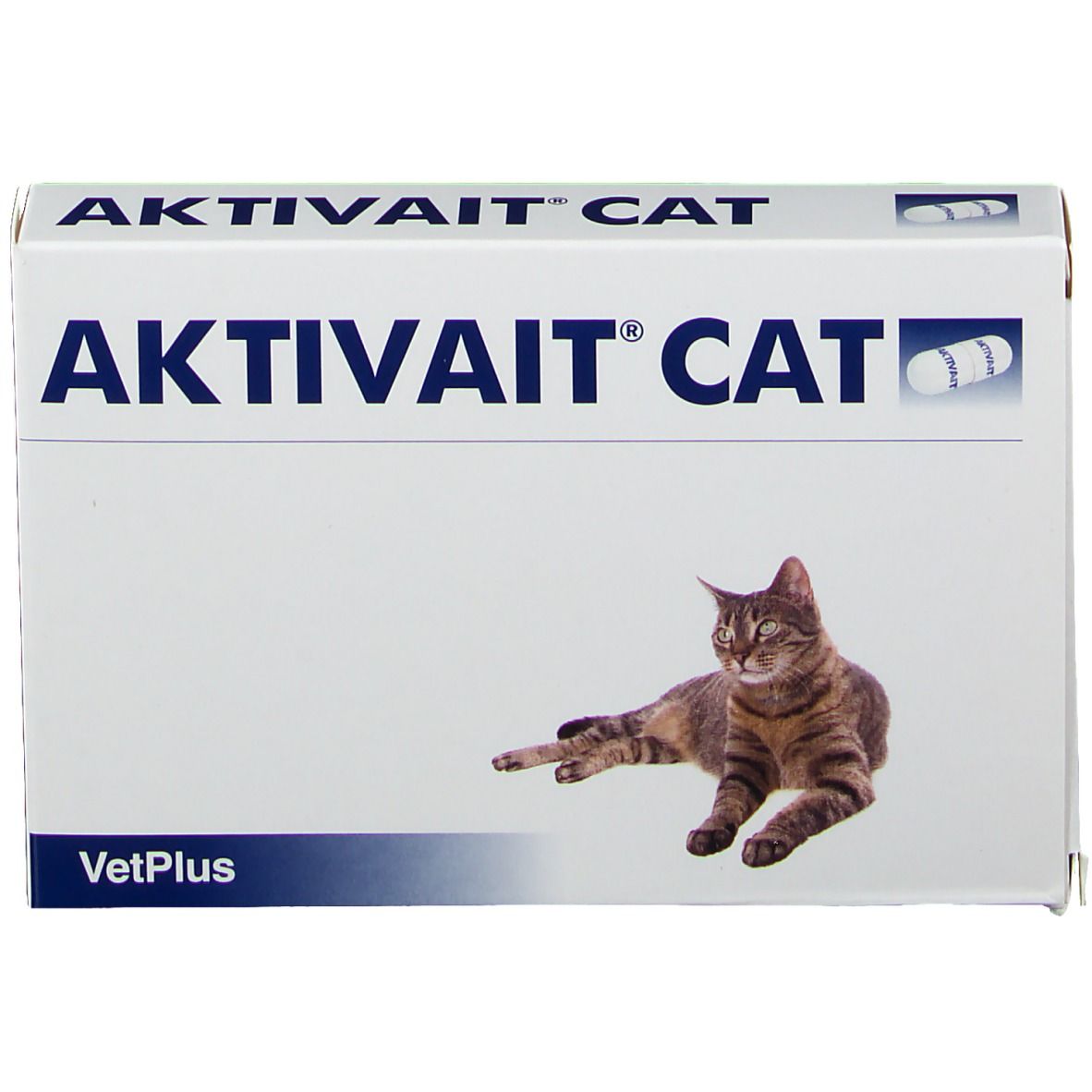 Aktivait Chat