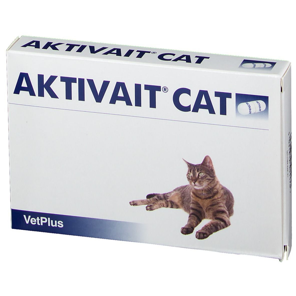 Aktivait Chat