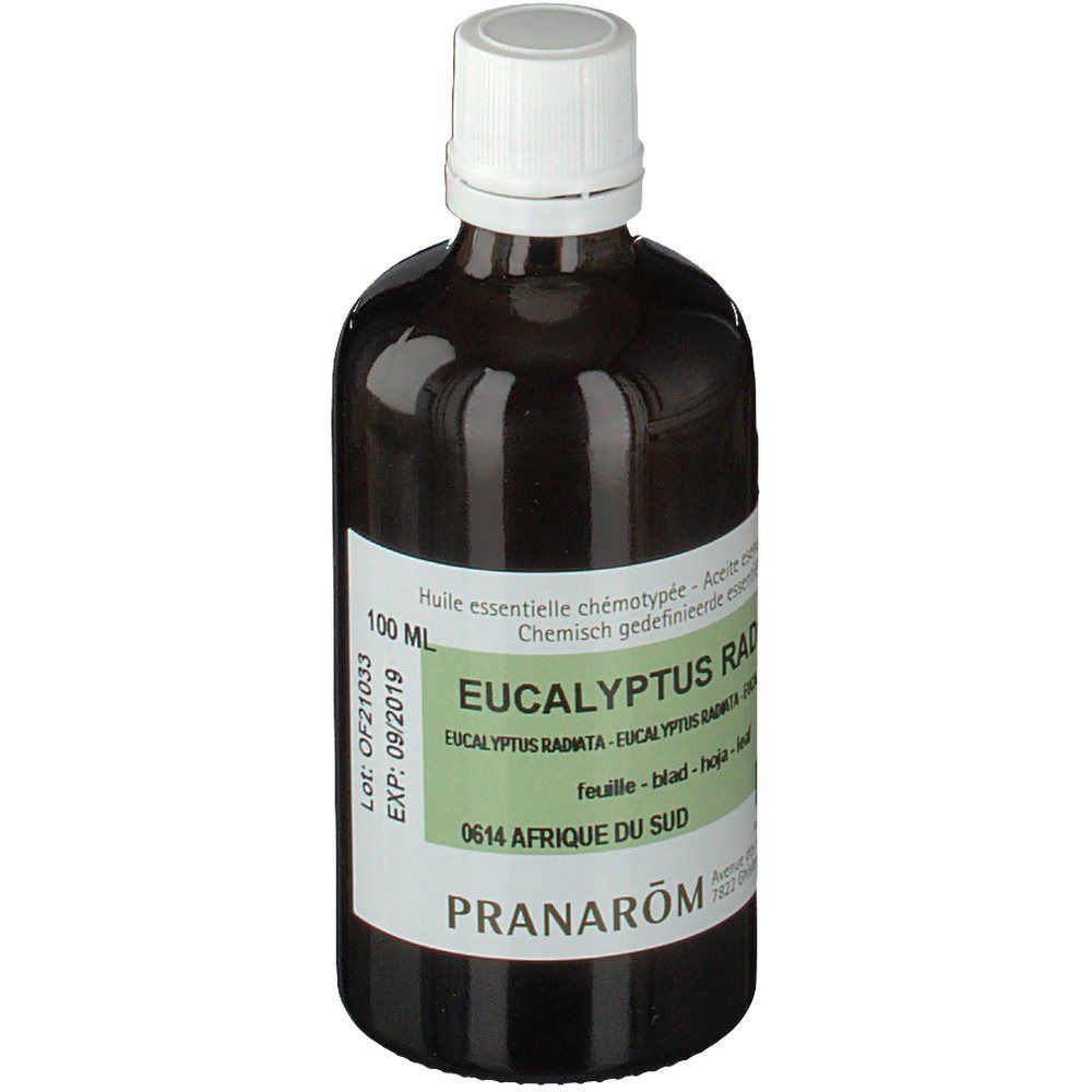 Pranarôm Eucalyptus Radié Huile Essentielle Bio