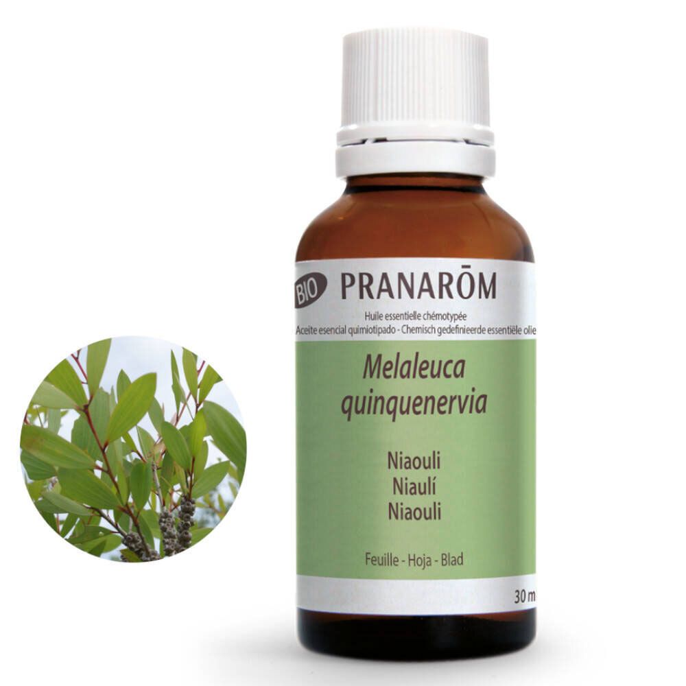 Pranarôm Huile Essentielle Niaouli Bio