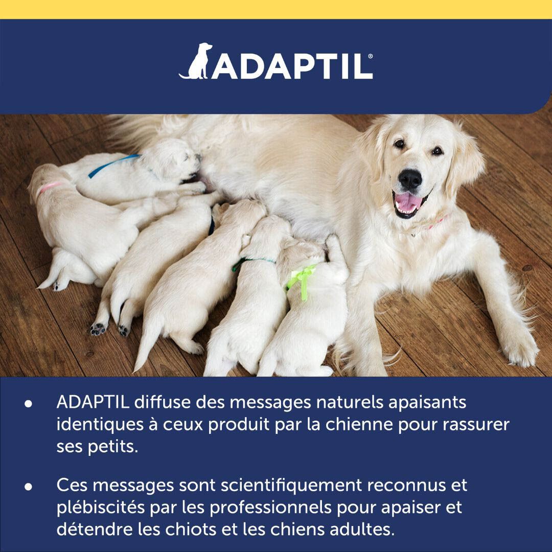 ADAPTIL® Transport Spray pour chien