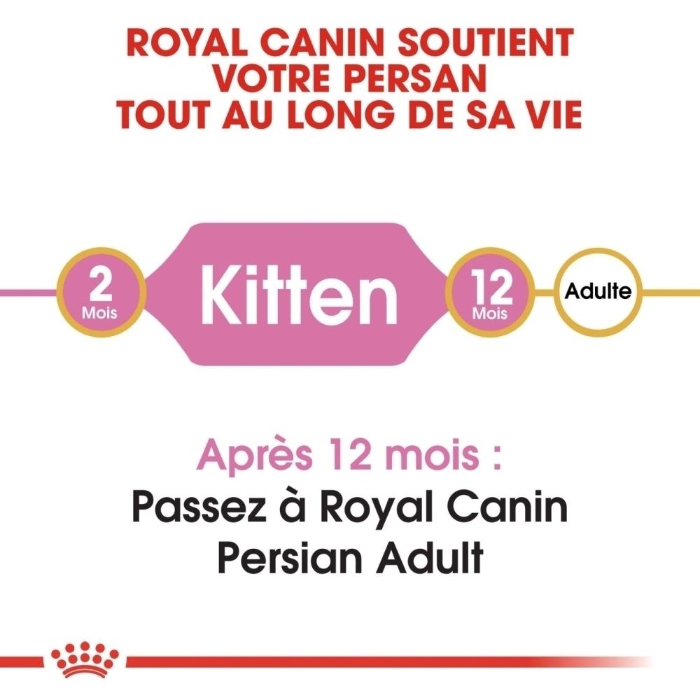 Royal Canin : alimentation pour chaton Persan (2 mois) évoluant vers l'adulte (12 mois).