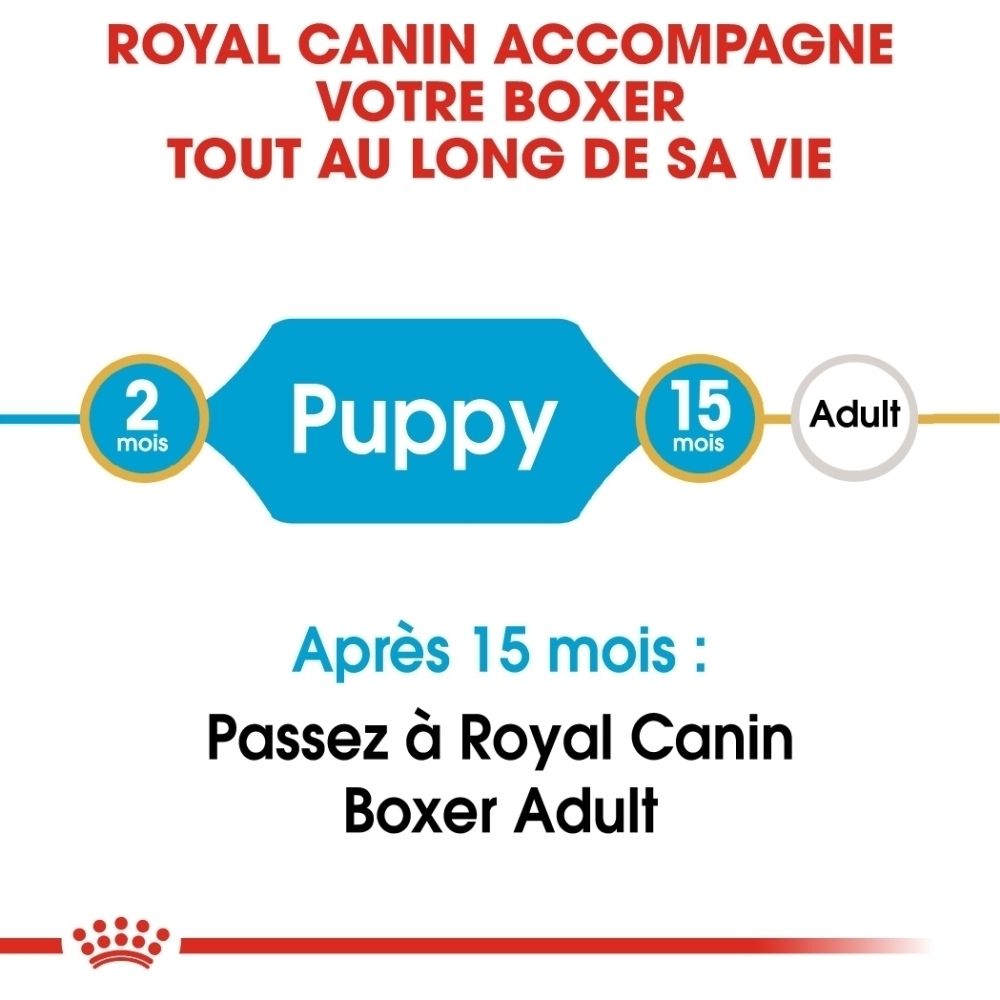 Royal Canin Boxer : De 2 mois (chiot) à 15 mois (adulte).