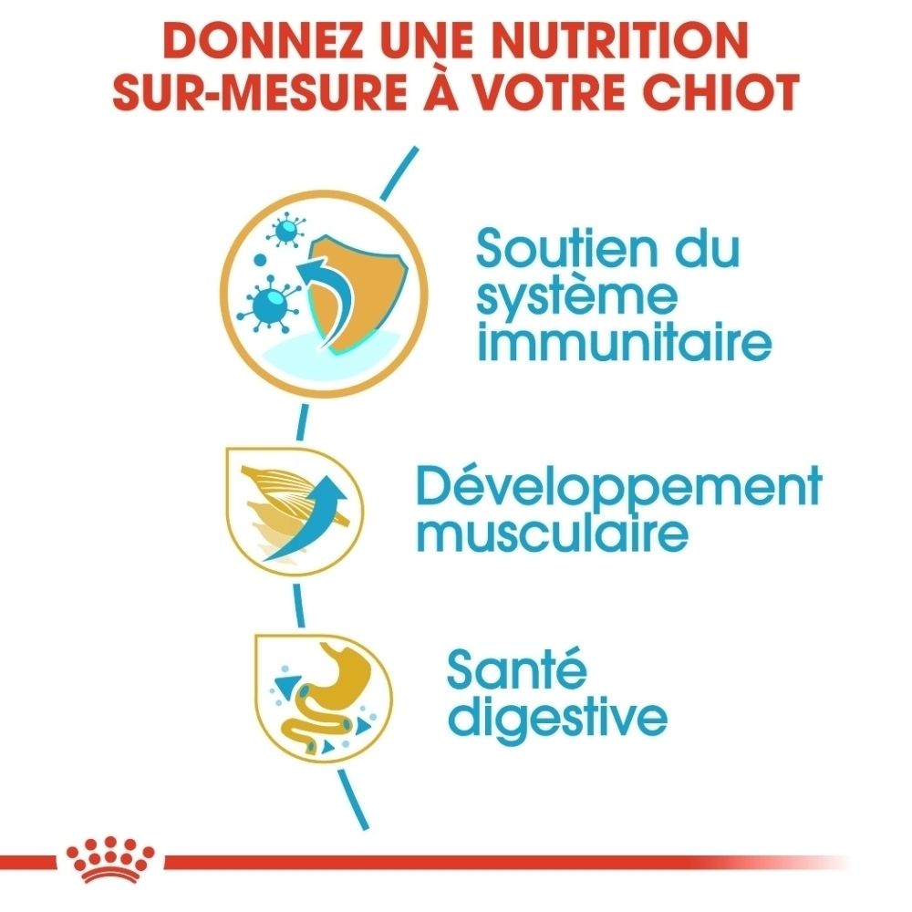 Graphique avec trois icônes : soutien immunitaire, développement musculaire, santé digestive. Texte : Nutrition sur mesure pour votre chiot.