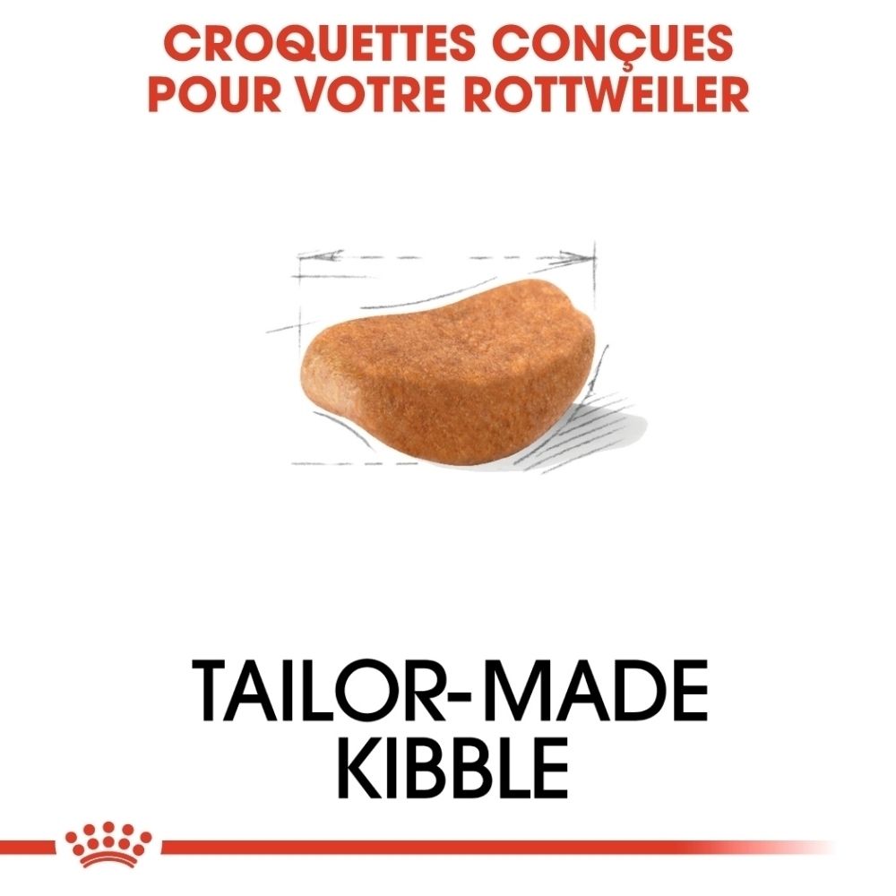 Royal Canin Rottweiler Adult : Croquettes conçues pour votre Rottweiler.