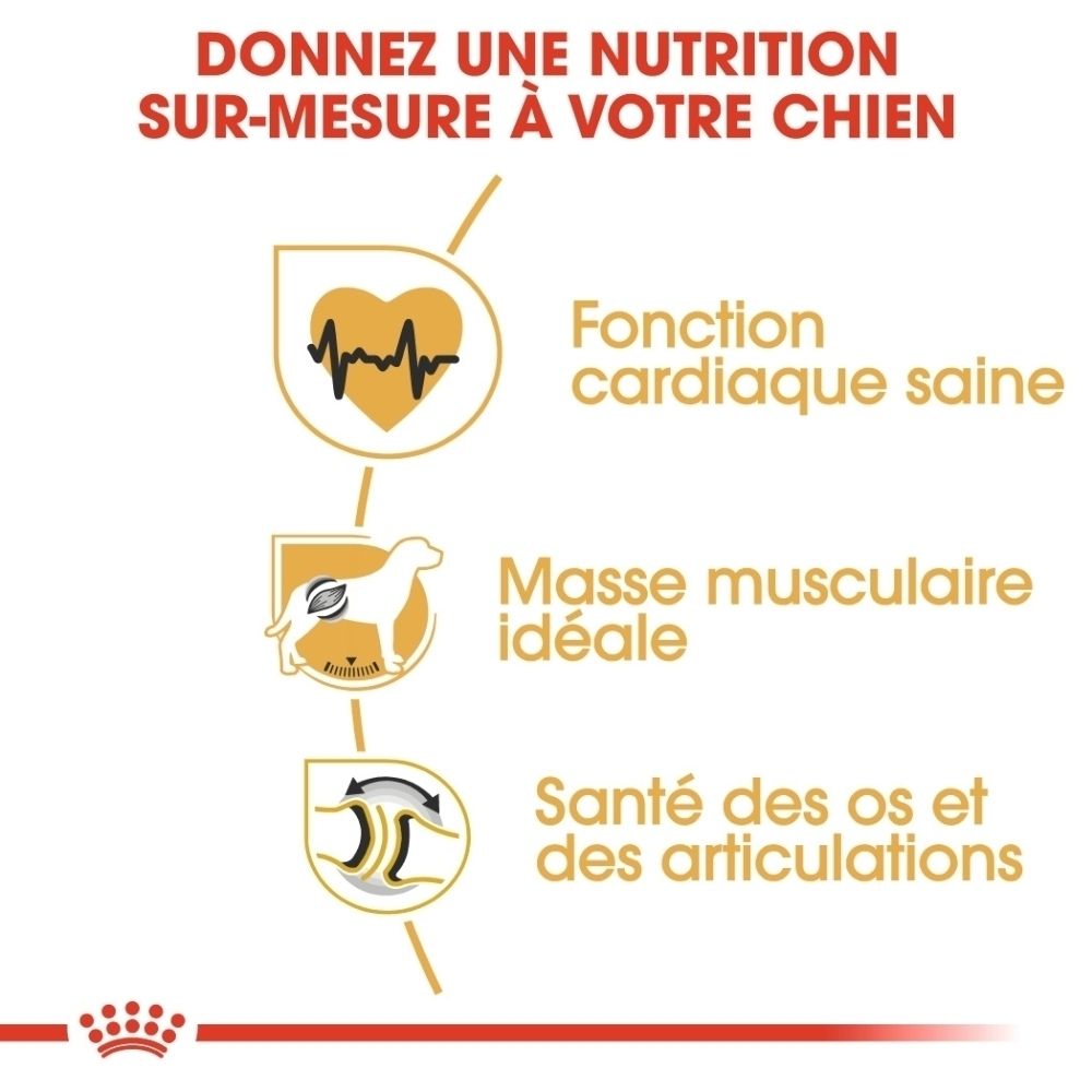 Royal Canin Rottweiler Adult : Fonction cardiaque saine, masse musculaire idéale, santé des os et des articulations.