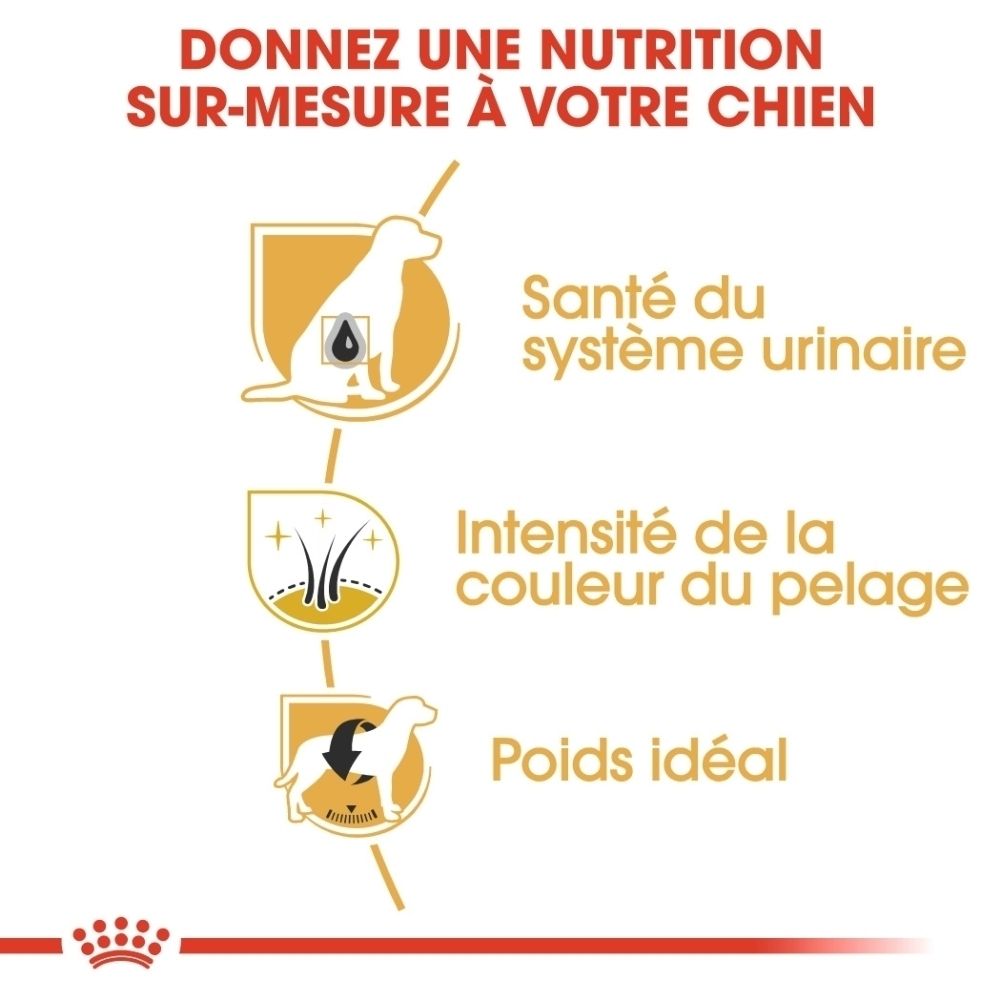 Royal Canin BHN Miniature Schnauzer 3kg: Nutrition sur mesure pour votre chien.