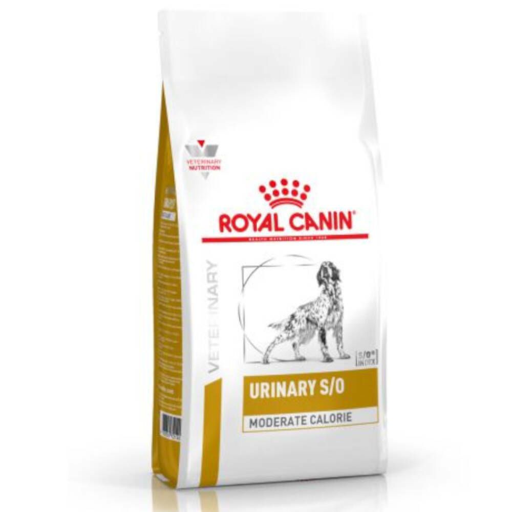 ​Royal Canin® Urinary S/O Moderate Calorie Chien