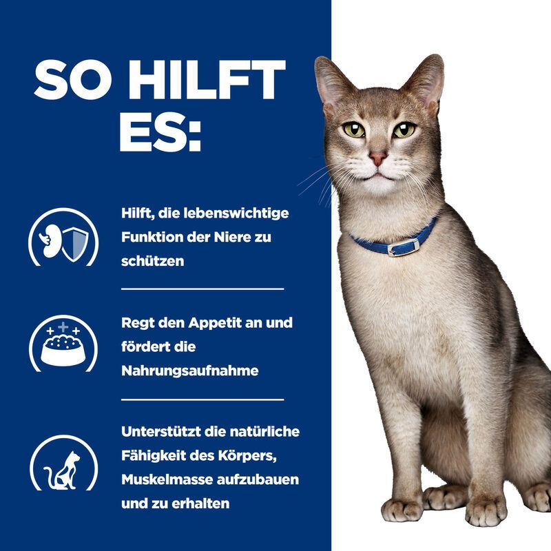 Hill's Prescription Diet Kidney Care k/d Lachs