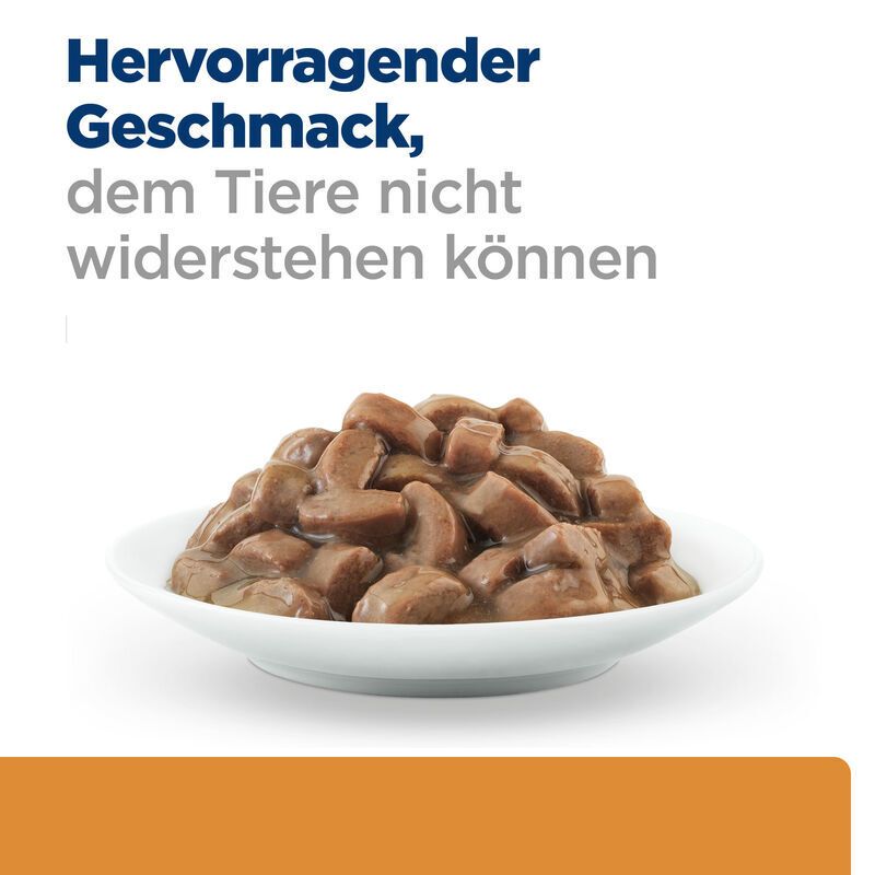 Hill's Prescription Diet Kidney Care k/d Lachs