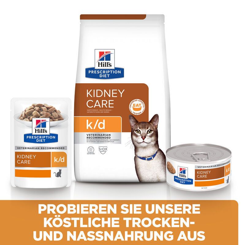 Hill's Prescription Diet Kidney Care k/d Lachs