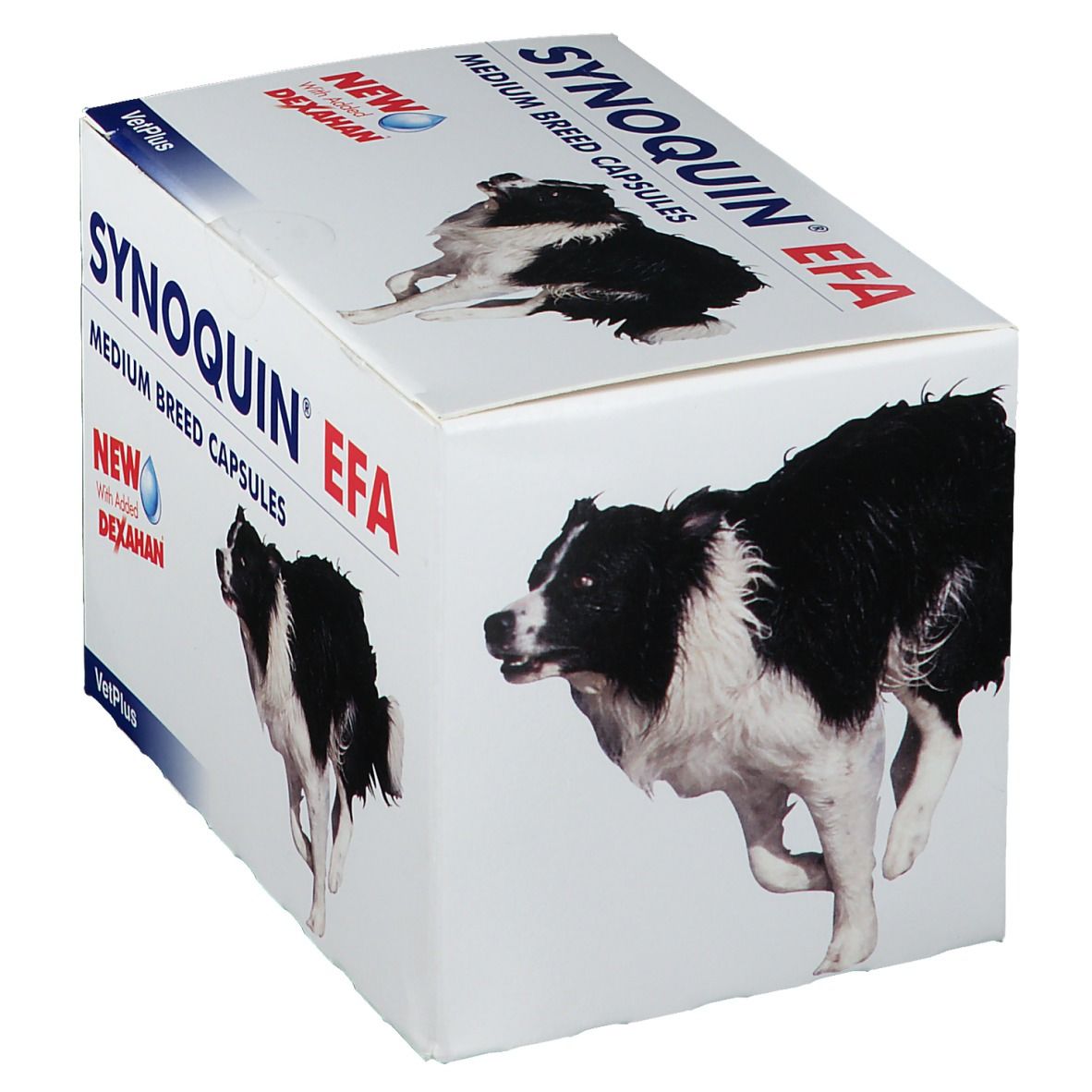 SYNOQUIN EFA® Capsules pour chien moyen
