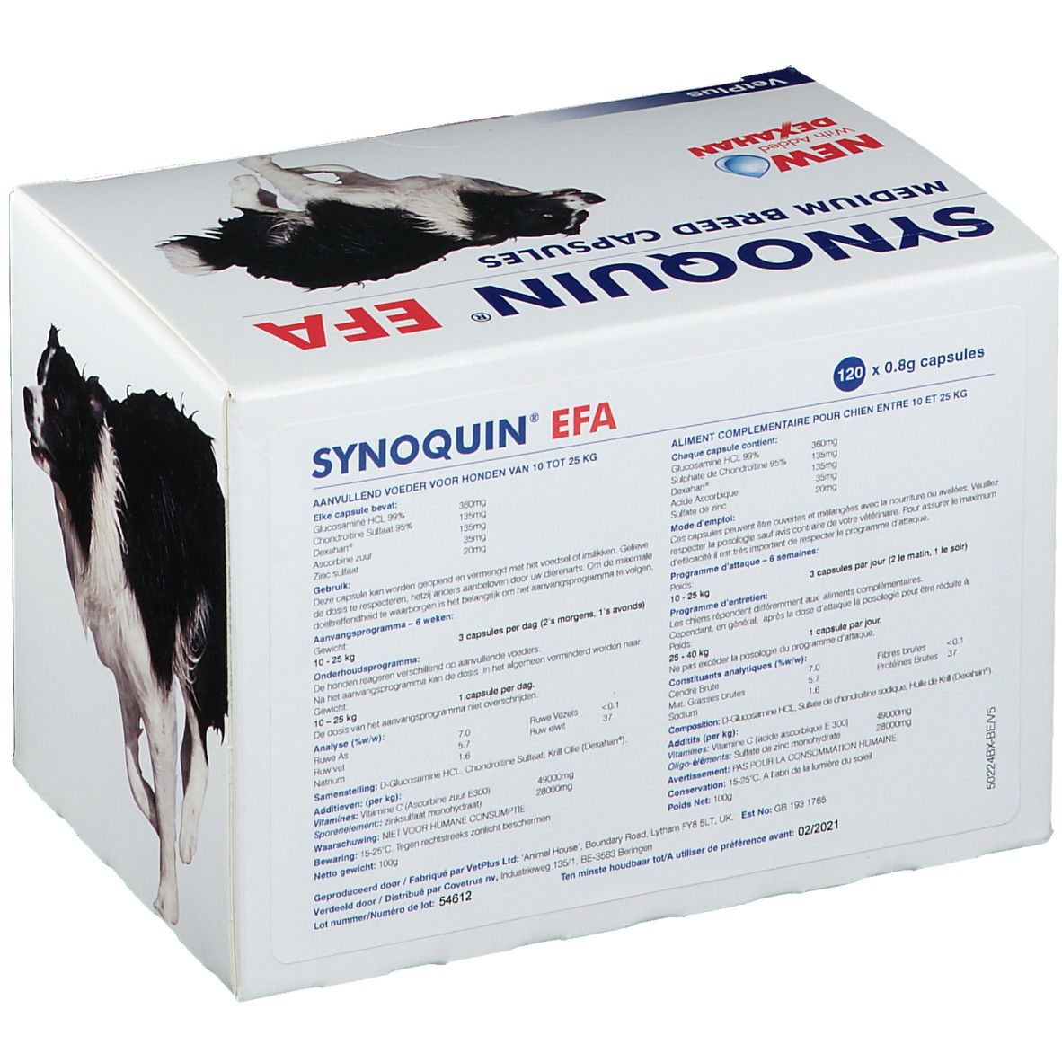 SYNOQUIN EFA® Capsules pour chien moyen