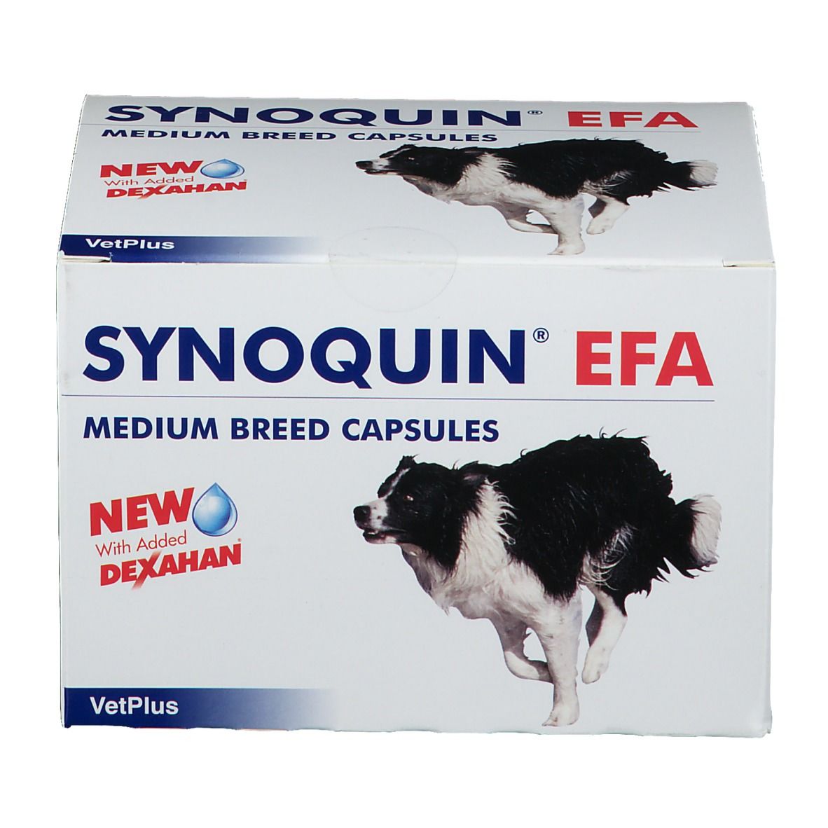 SYNOQUIN EFA® Capsules pour chien moyen