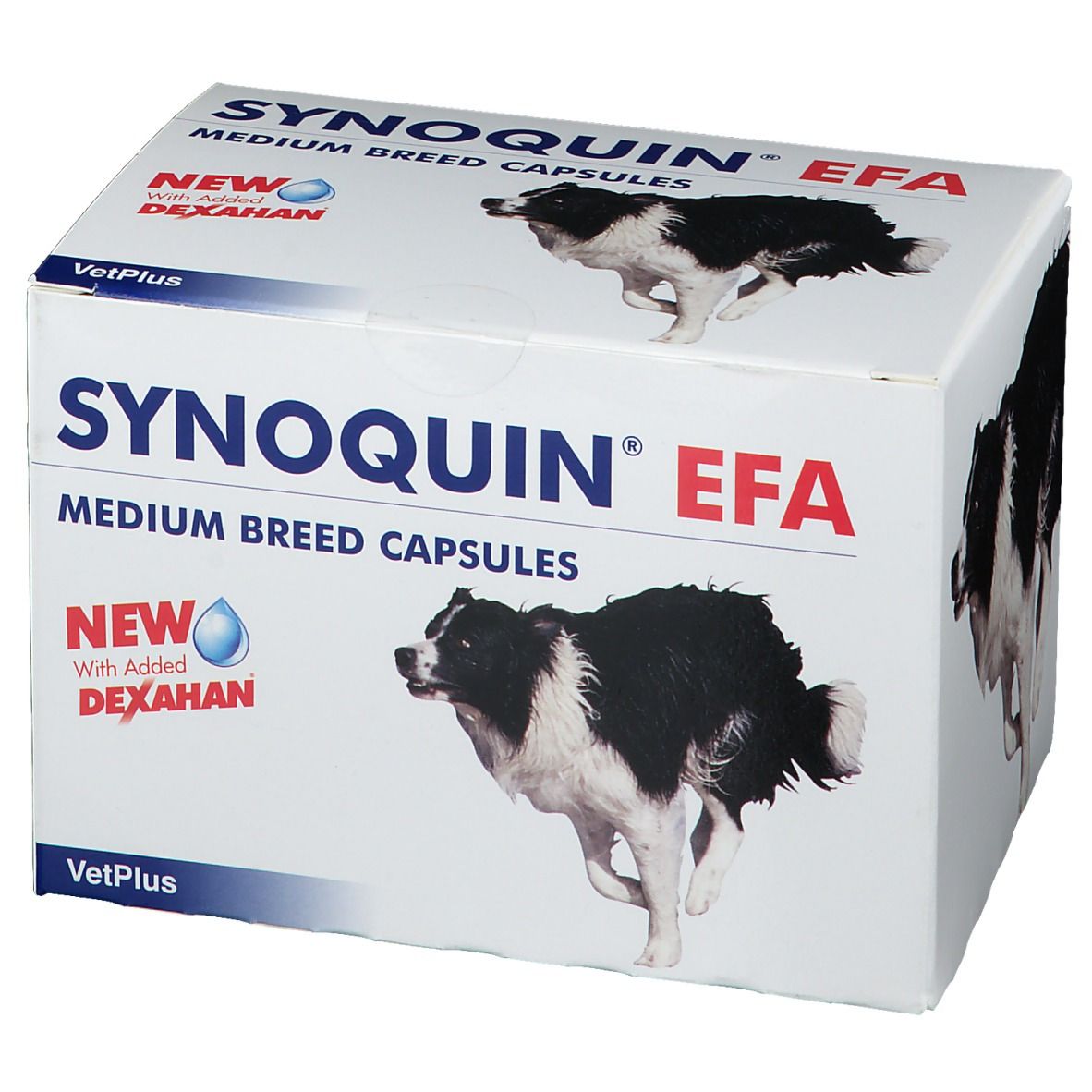 SYNOQUIN EFA® Capsules pour chien moyen