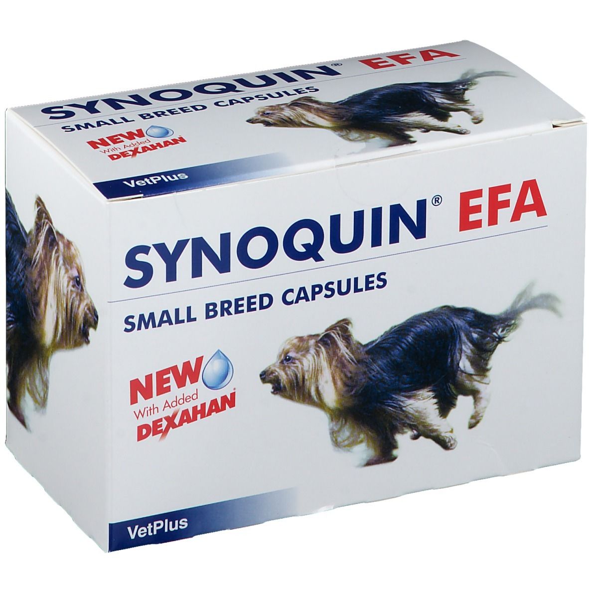 Boîte de produit avec texte. Inscription: Synoquin EFA, Small Breed Capsules. Image de chien. Avec Dexahan.