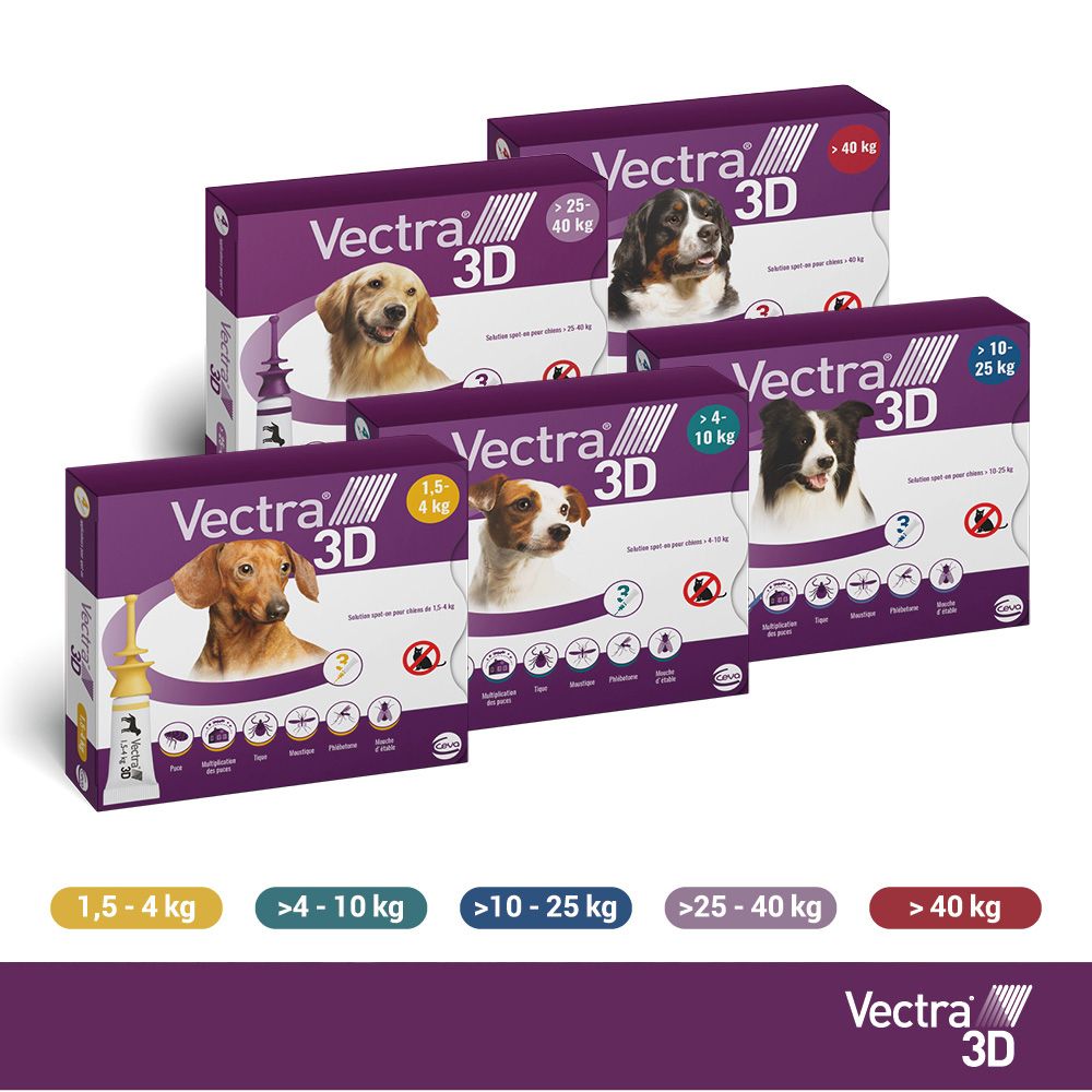 Boîte et pipettes Vectra® 3D. 3 pipettes. Pour chiens 4-10 kg.
