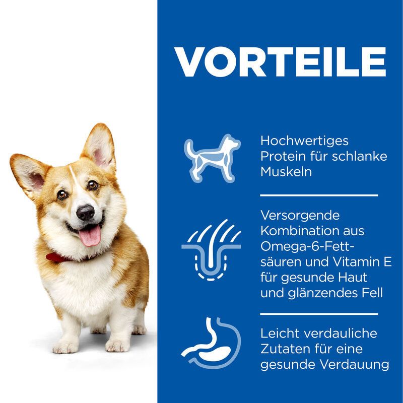 Chien à côté du texte : Avantages. Protéines de haute qualité, acides gras oméga-6, vitamine E, peau saine, pelage, facile à digérer.