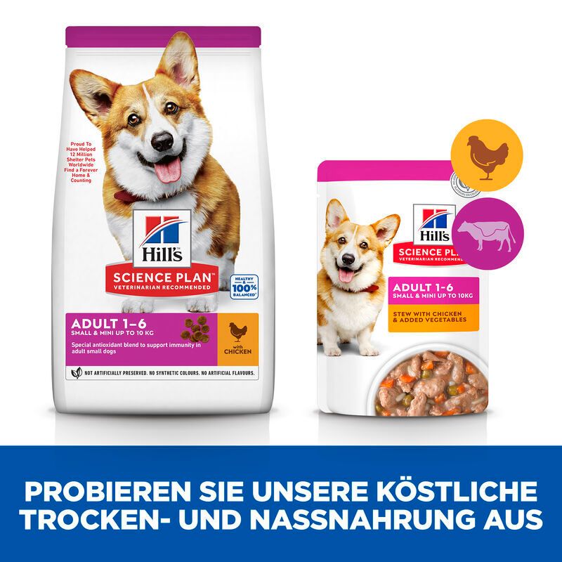 Sac et boîte de nourriture pour chiens avec chien. Texte : Adult 1-6, avec poulet. Essayez les aliments secs et humides.